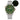 Seafarer WD007Q V1 VH31 Titanium NTTD Dive Watch