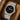 Watchdives WD0016 MUSOU Super Black — Ultra Light-Absorbing Dial